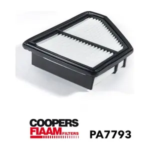 PA7793 CoopersFiaam