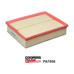 PA7856 CoopersFiaam