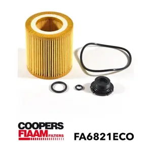 FA6821ECO CoopersFiaam