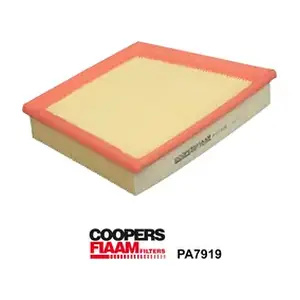 PA7919 CoopersFiaam
