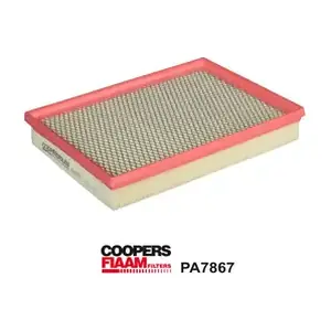 PA7867 CoopersFiaam