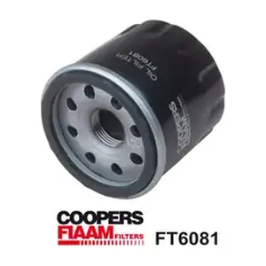 CoopersFiaam FT6081