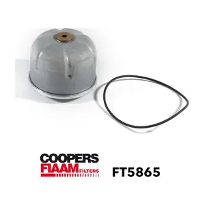 FT5865 CoopersFiaam