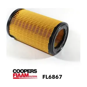 FL6867 CoopersFiaam