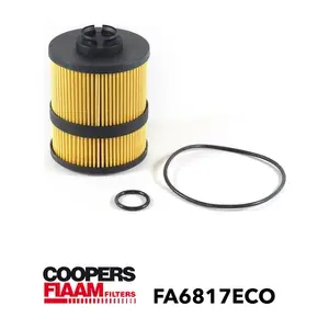 FA6817ECO CoopersFiaam