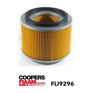 FLI9296 CoopersFiaam