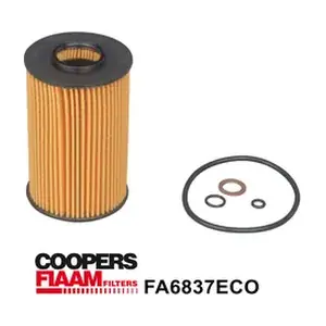 FA6837ECO CoopersFiaam