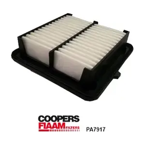 PA7917 CoopersFiaam