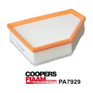 PA7929 CoopersFiaam