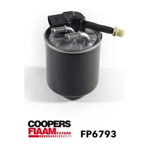 FP6793 CoopersFiaam