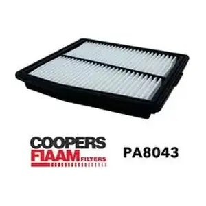 PA8043 CoopersFiaam