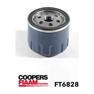 FT6828 CoopersFiaam