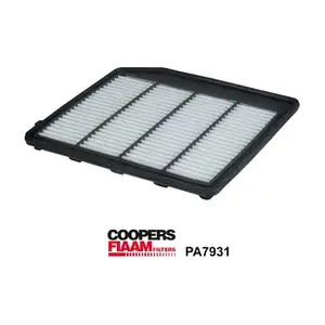 PA7931 CoopersFiaam