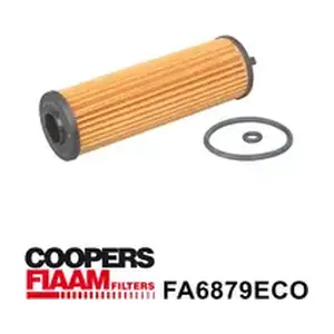 FA6879ECO CoopersFiaam