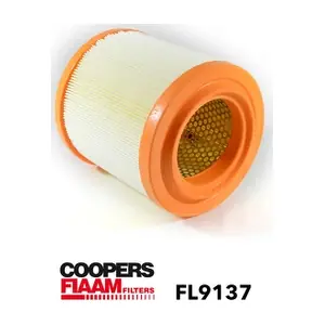 FL9137 CoopersFiaam