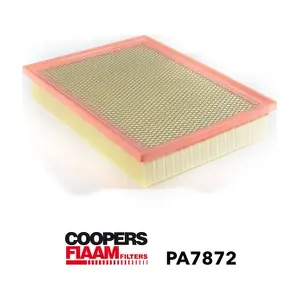 PA7872 CoopersFiaam