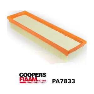 PA7833 CoopersFiaam
