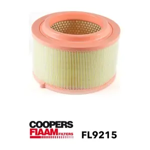 FL9215 CoopersFiaam