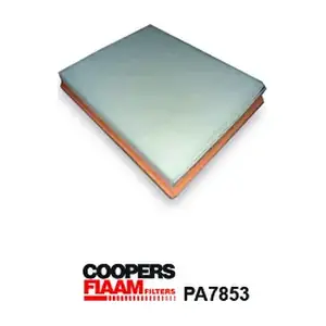 PA7853 CoopersFiaam