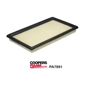 PA7891 CoopersFiaam