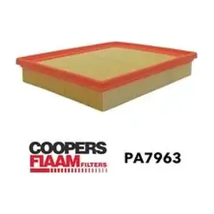 PA7963 CoopersFiaam