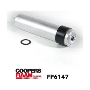 FP6147 CoopersFiaam
