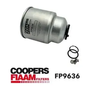 FP9636 CoopersFiaam