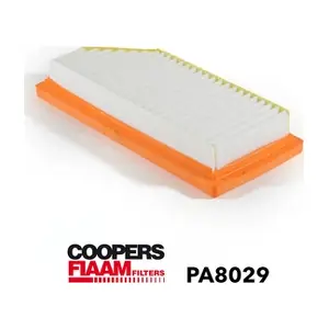 PA8029 CoopersFiaam