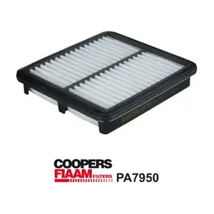 PA7950 CoopersFiaam