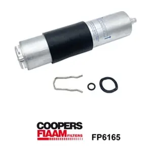 FP6165 CoopersFiaam