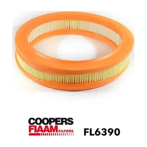 CoopersFiaam FL6390