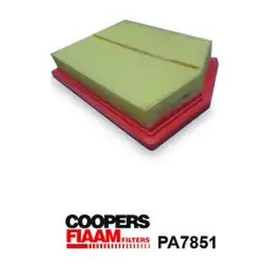 PA7851 CoopersFiaam