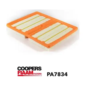 PA7834 CoopersFiaam