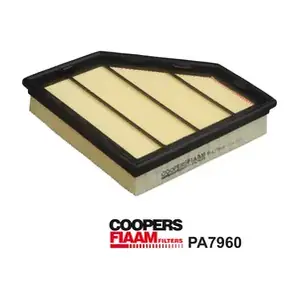 PA7960 CoopersFiaam