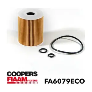 FA6079ECO CoopersFiaam