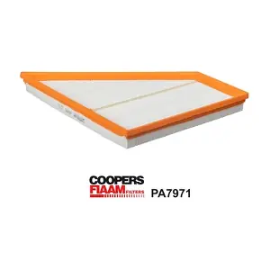 PA7971 CoopersFiaam