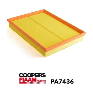 PA7436 CoopersFiaam