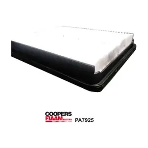 PA7925 CoopersFiaam