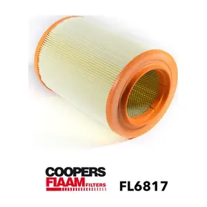 CoopersFiaam FL6817