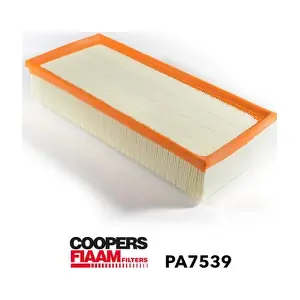 PA7539 CoopersFiaam