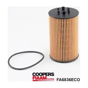 FA6836ECO CoopersFiaam