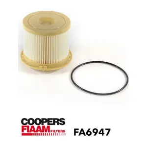 FA6947 CoopersFiaam