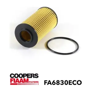 FA6830ECO CoopersFiaam