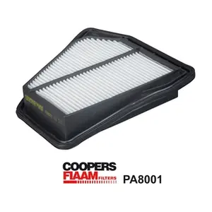 PA8001 CoopersFiaam