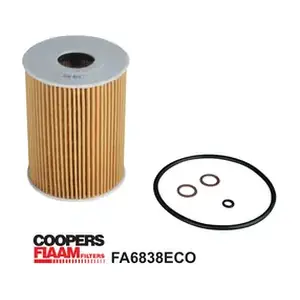 FA6838ECO CoopersFiaam