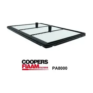 CoopersFiaam PA8000