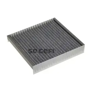 CoopersFiaam PCK8175