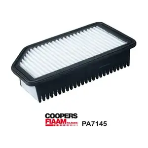PA7145 CoopersFiaam