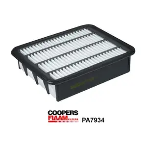 PA7934 CoopersFiaam