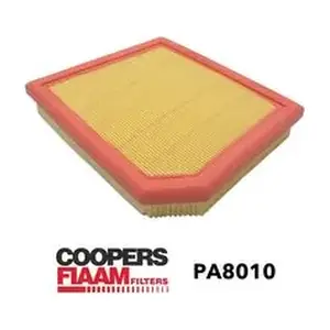 PA8010 CoopersFiaam